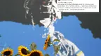 b56212a935934661926cdc0ac91699fe.webp