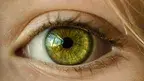 2228d8477c134d6b9b8ede42288827af.webp