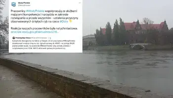 d025ac6c9c00425082d17b061224957f.webp