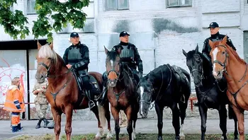 cb8f267d7ff140939cf1f45d28ff4993.webp
