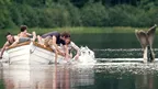 f1fe37630105425e988554db7363bf0c.webp