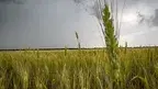39781b69b25148b2b2d2e99a33450d8d.webp