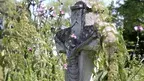 285dcddbcdbd4f6aaf46c02e4c5ee8ba.webp