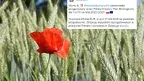 c56dc6ffca40474b853c6a45e0c54028.webp