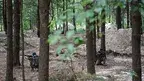 64497f450ca549159026505660327476.webp