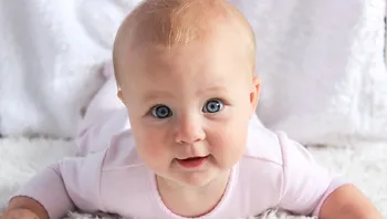 29024c68ee5e4f81b38e35fe6f285102.webp