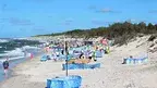 2322d93929074bc5b76d018e004a1165.webp