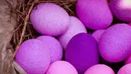 480a0011e1324187a64f1b3de4ab75dd.webp