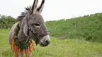 0a974138b51047c2991984174fd26191.webp