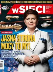 5.webp