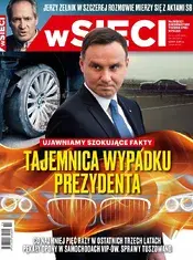 11.webp