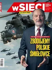 42.webp