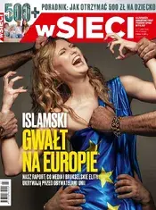 7.webp