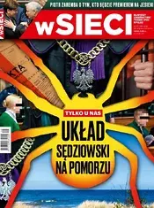 35.webp