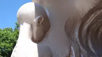 f9e46e3d3136484c9f3a2e3bf4c8ec61.webp