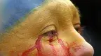dda6985786084fb59dc9dea35d83b1dc.webp