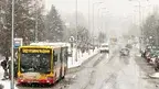 c8d08dfcaef24fc4ade3623113533a83.webp