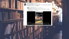 17ae7177f93943b1b7da4e0249e62125.webp