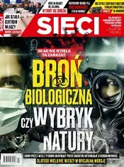17.webp