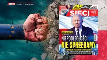 7e9b20d0680a4a58bbaf1f9a9c8f1913.webp