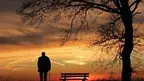 1264bad3c5da4e40aebf5c347791d187.webp