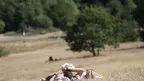 mid-epa13157945.webp