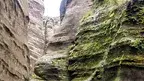 AS_DSC07298_20220911.webp