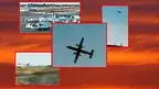 skyking.webp