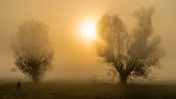 AS_DSC06654_20191020.webp