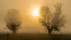 AS_DSC06654_20191020.webp