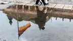 wal_172619-puddle-7844705.webp