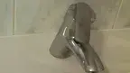 jqj3r.webp