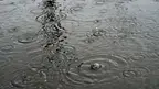 AS_DSC06459_20170820.webp
