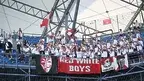 kibice.webp