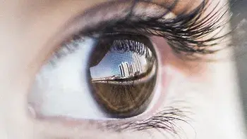 lhccoutinho-eye-4559763_1920.webp