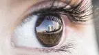 lhccoutinho-eye-4559763_1920.webp