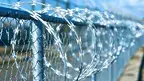 tungart7-fence-8676569_1920.webp