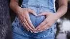 robster_91-pregnancy-7214373_1920.webp