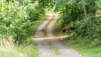 AS_DSC08513_20240826.webp.jSfko5WFMvXrR89jsAkA.hr8NjrCuJ7.webp
