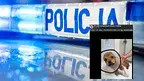 policja.webp