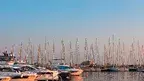 pexels-ozkan-aygun-120057239-19949035.webp