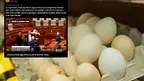 AS_DSC00002.webp