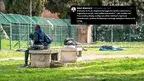migranci.webp