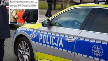 ddd39bb092cc45fb9a28041e4de11e76.webp