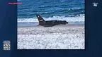 dron_wbaltyku.webp