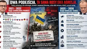 infografika