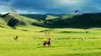 ivacastro-prairie-1025226_1920.webp