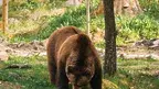 pexels-tatius-7944485.webp