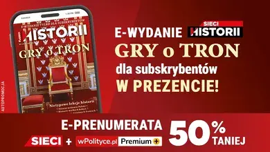 33333.webp