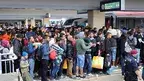 migranci.webp
